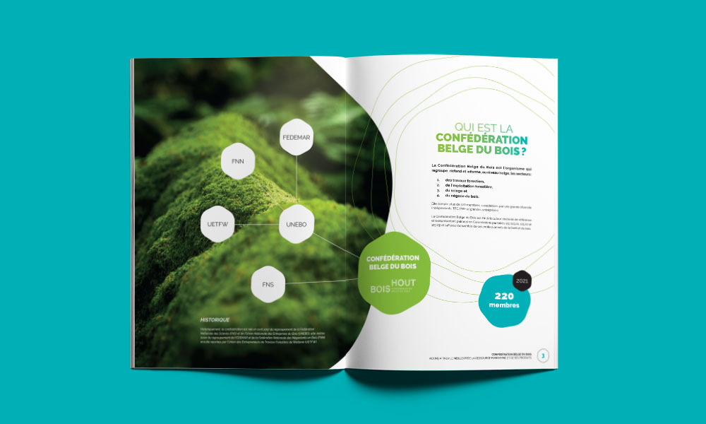 Corporate brochure